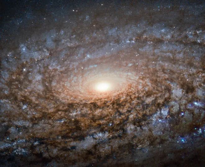 A spiral galaxy